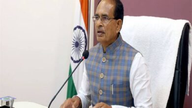 20 Lakh Plants : मुख्यमंत्री ने 22 हजार किसानों द्वारा एक करोड़ 20 लाख पौधे लगाने के अभियान का किया शुभारंभ