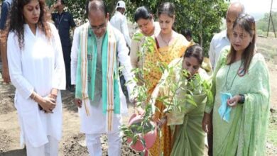 Tree Plantation : मुख्यमंत्री के साथ पौध-रोपण कर मनाया जन्म-दिवस Tree Plantation : मुख्यमंत्री के साथ पौध-रोपण कर मनाया जन्म-दिवस